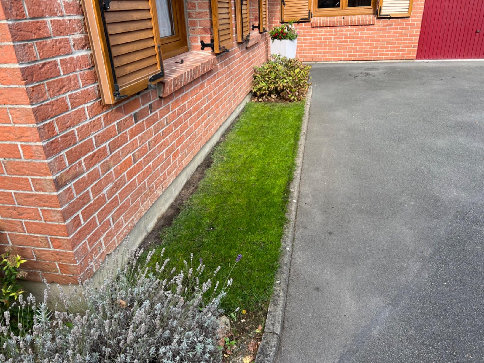 Herbe plus dense