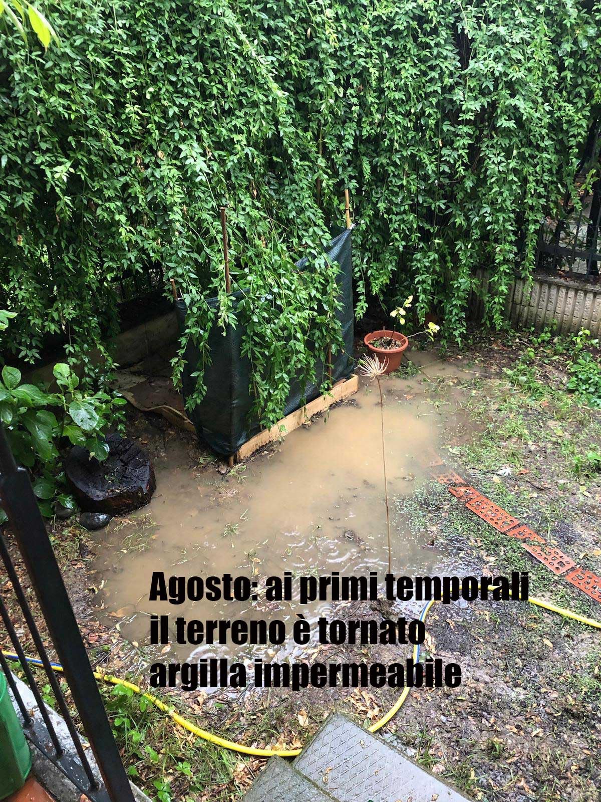 Peu de changement