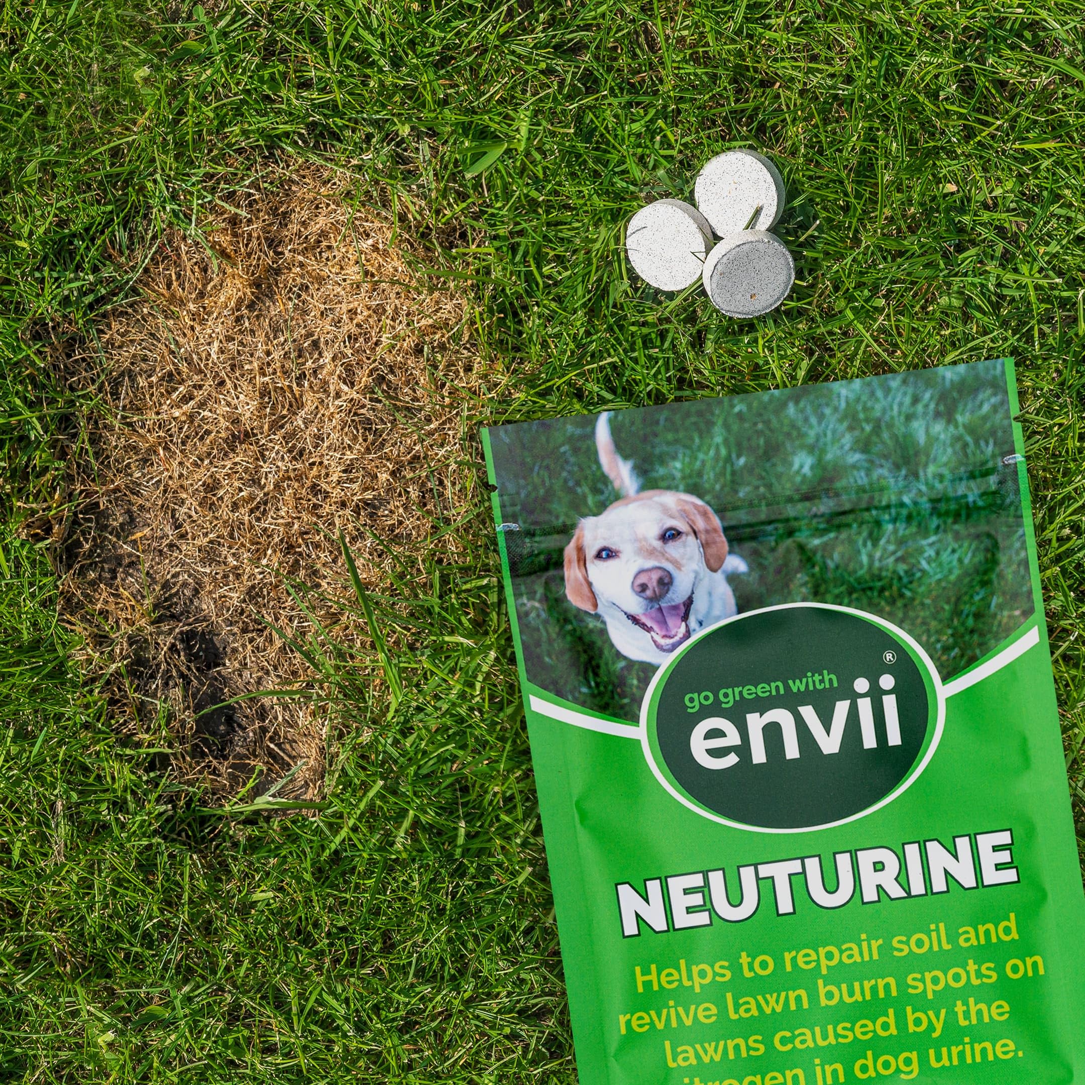 envii-neuturine-traitement-pelouse-urine-chien-12-tablettes image 5