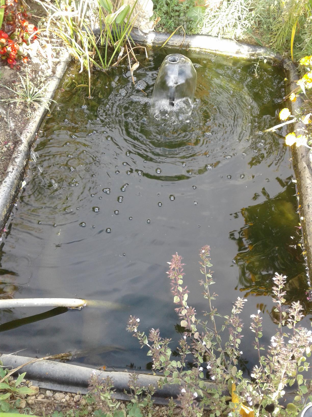 Plantes ok
